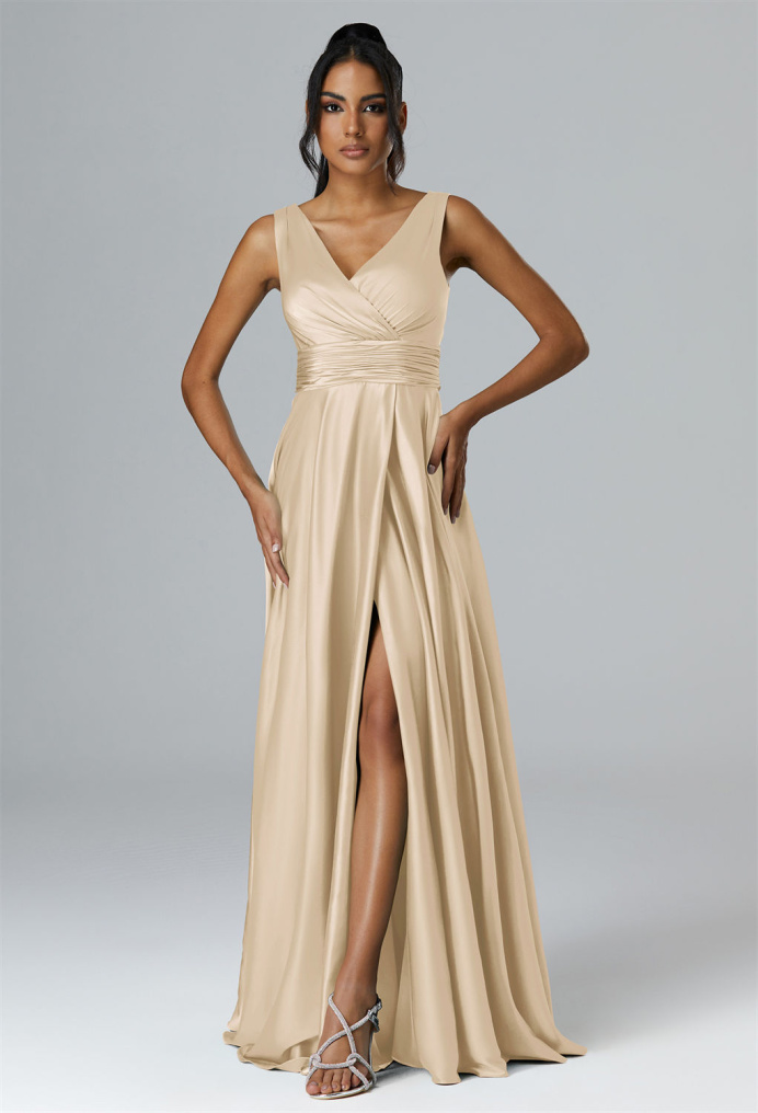 AW Rajmata Dress